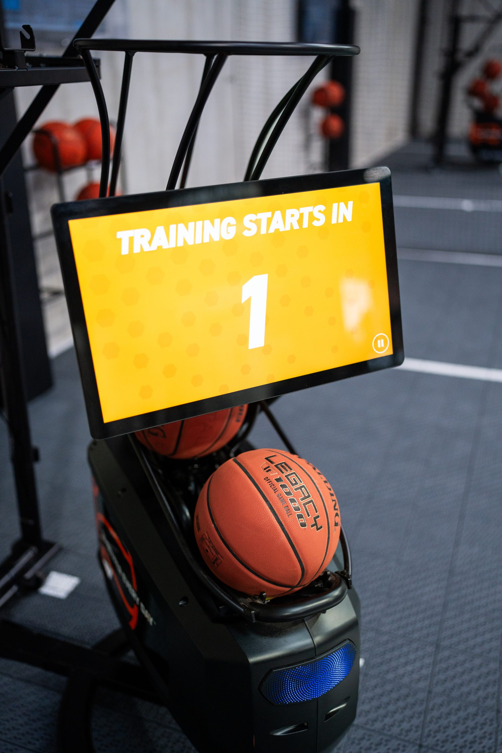 Coastal Basketball — South West's Home of Hoops
